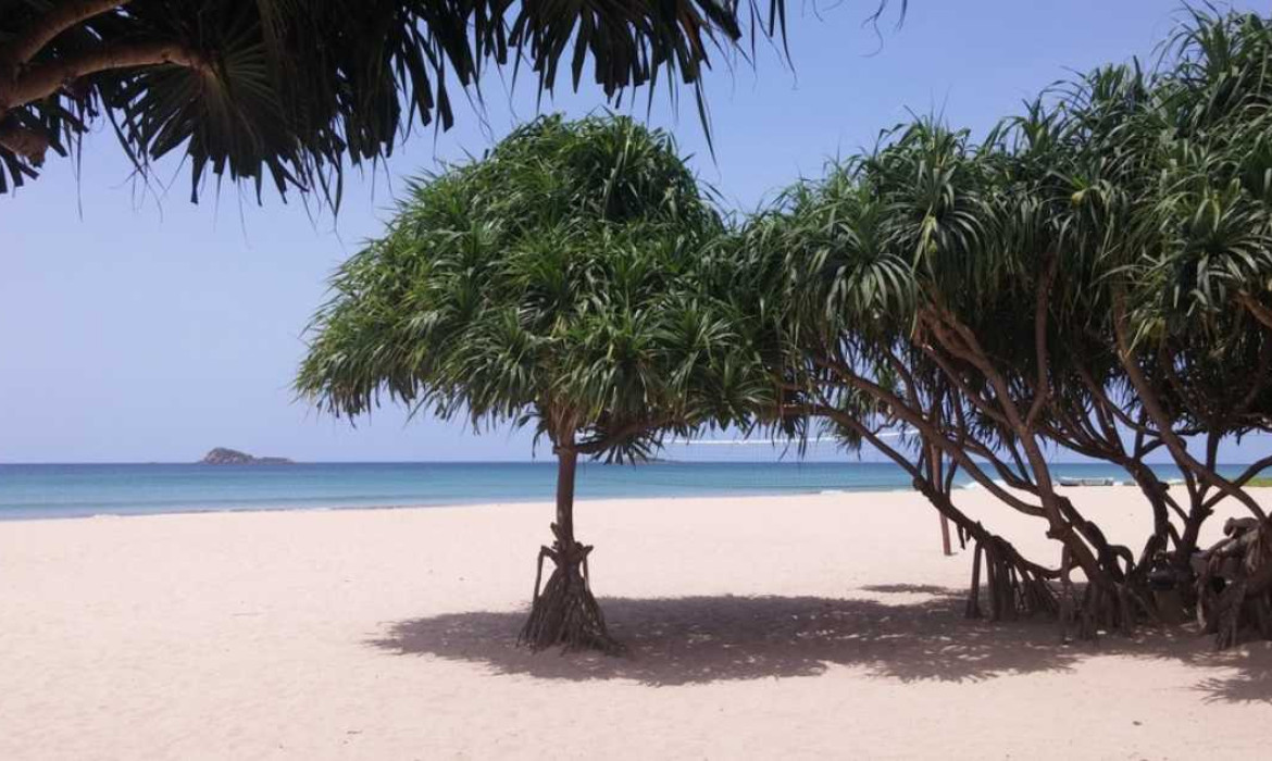 Arugam Bay Beach – 1