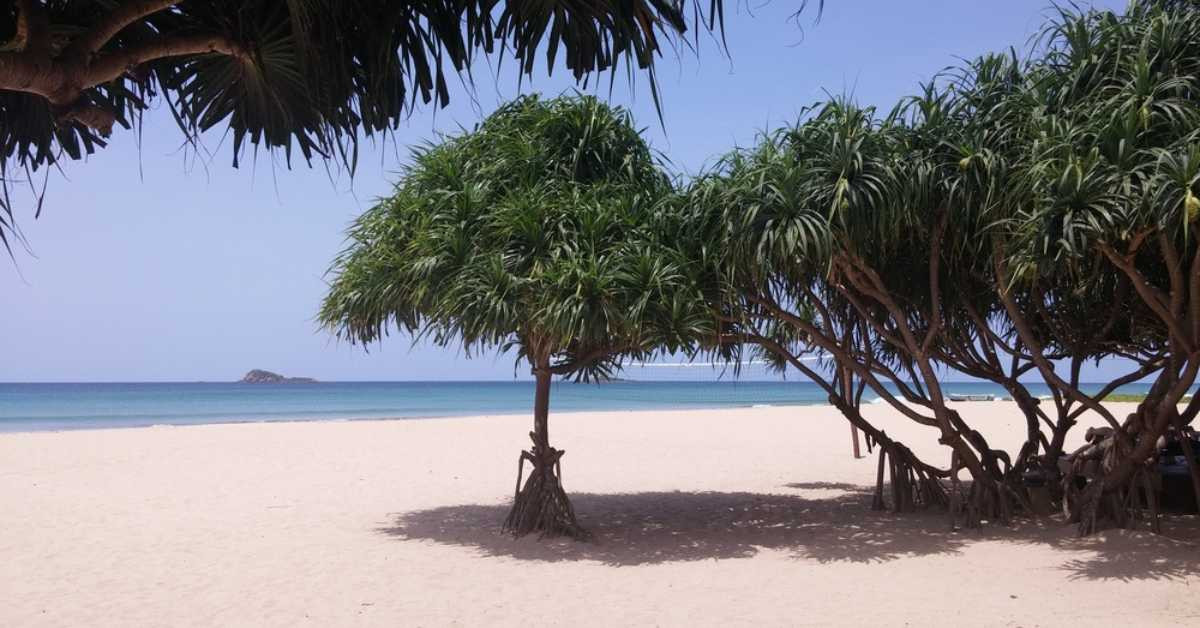 Arugam Bay Beach – 1